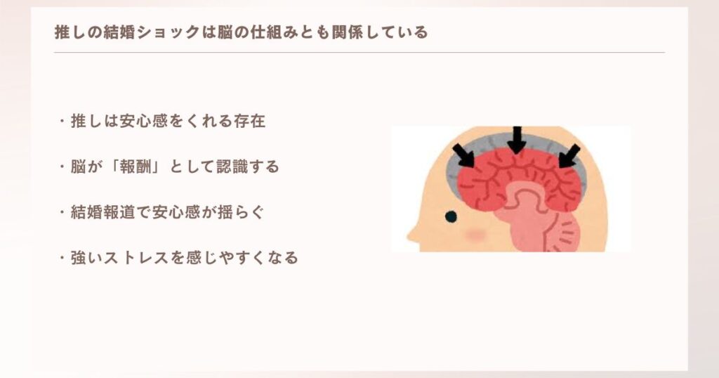 推しの結婚ショックは脳の仕組みとも関係している